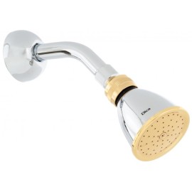 REGADERA CON BRAZO Y CHAPETON CROMO/ORO DICA 4510B1  901D-4510B1